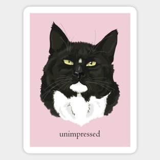 Unimpressed Magnet